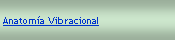 Cuadro de texto: Anatoma Vibracional